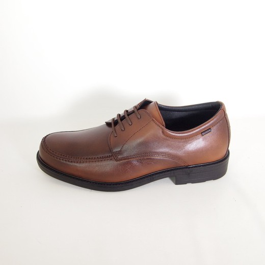 Zapatos Baerchi 1802 Tabaco Zapatoria Zapater a online