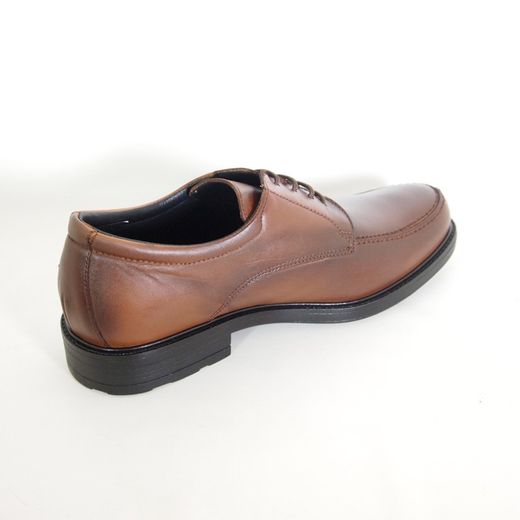 Zapatos Baerchi 1802 Tabaco