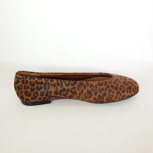 Zapatos Chamby 637 Leopardo