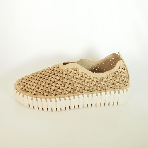 Zapatos Ilse Jacobsen Tulip 3373 Latte Blanco