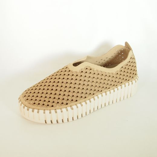 Zapatos Ilse Jacobsen Tulip 3373 Latte Blanco